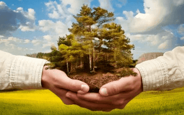Supporting Ecosystems and Biodiversity
