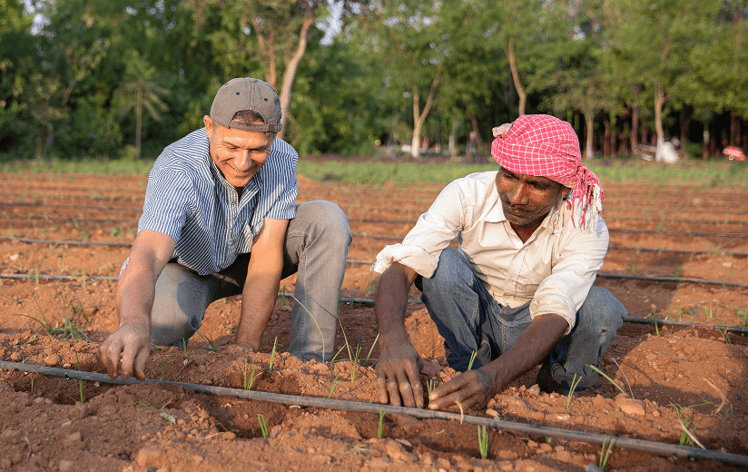 Contribution For Tree Donate to Plant a Tree & Conserve Forests | Join Us | Heartfulness ...