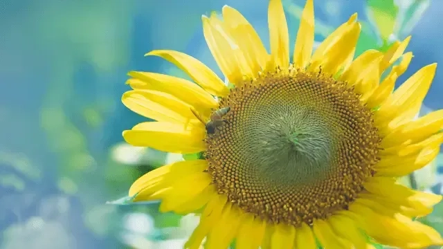 Tiny Drops Make a Mighty Ocean