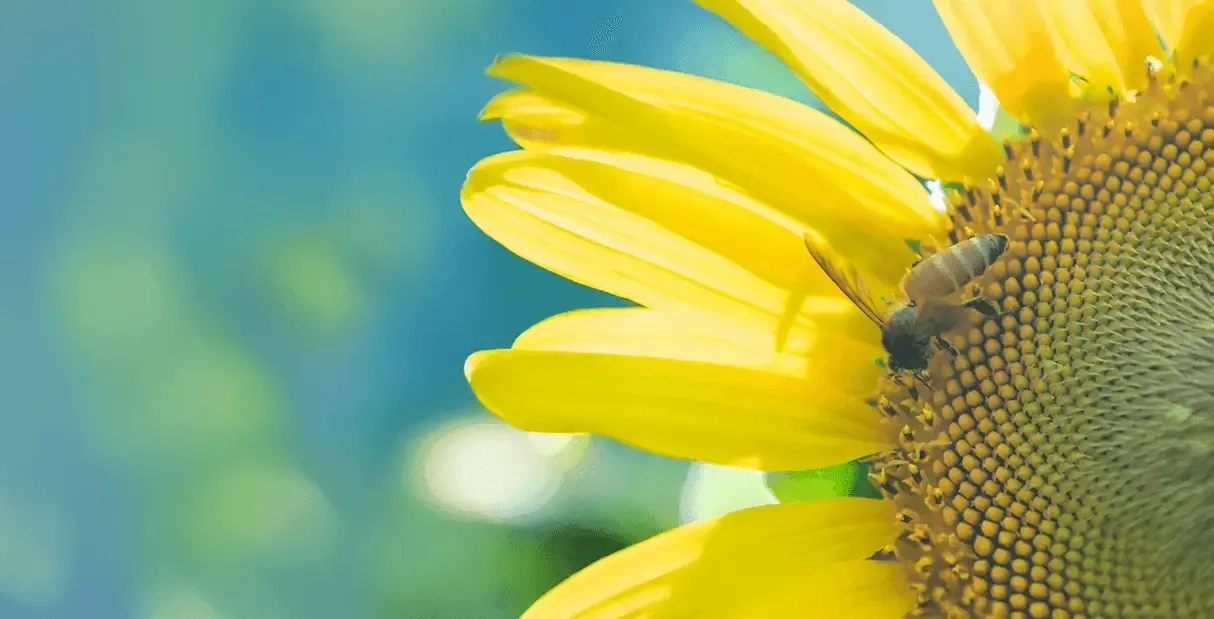 Tiny Drops Make a Mighty Ocean